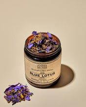 Load image into Gallery viewer, Blue Lotus
