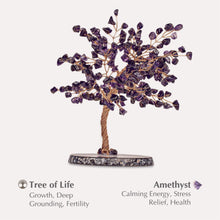 Load image into Gallery viewer, OASIS FENG SHUI AMETHYST CRYSTAL TREE-