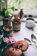 Load image into Gallery viewer, Reishi