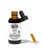 Load image into Gallery viewer, Adaptogenic Tonic