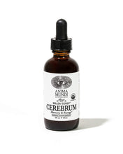 Load image into Gallery viewer, Cerebrum Tonic - Pharmacia
